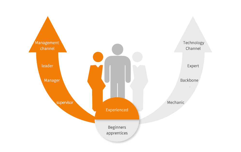 威尼斯线上平台