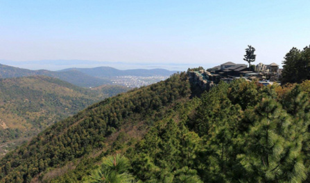 威尼斯线上平台