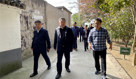 威尼斯线上平台