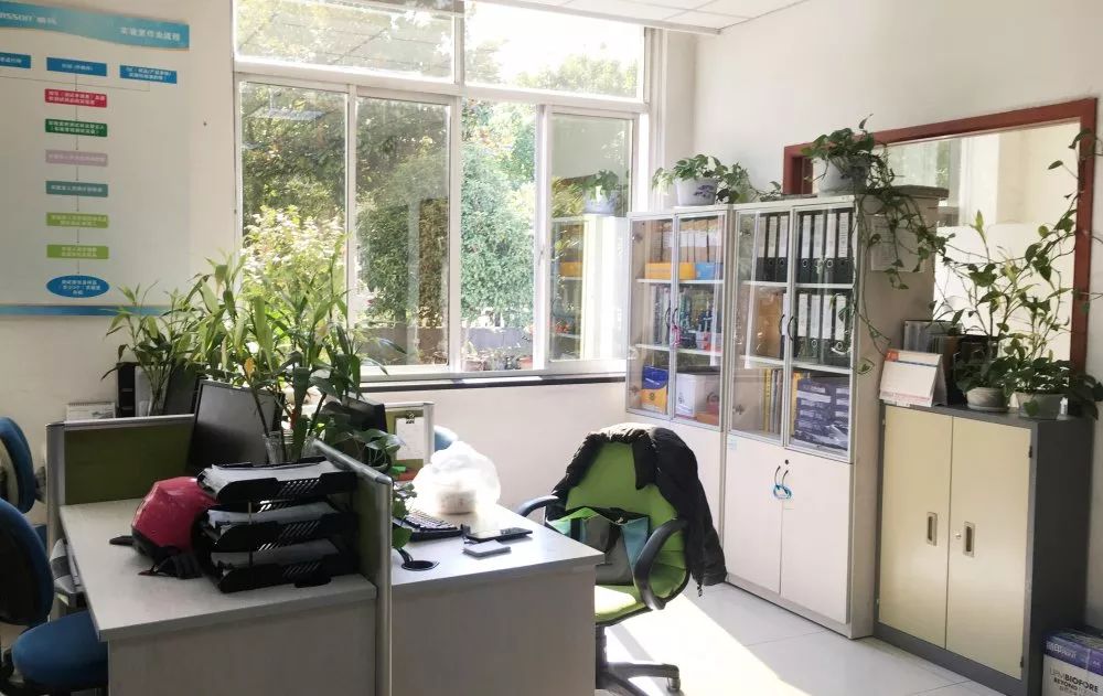 威尼斯线上平台