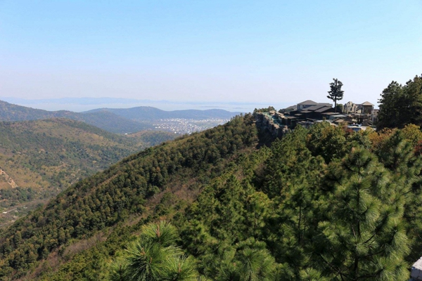 威尼斯线上平台