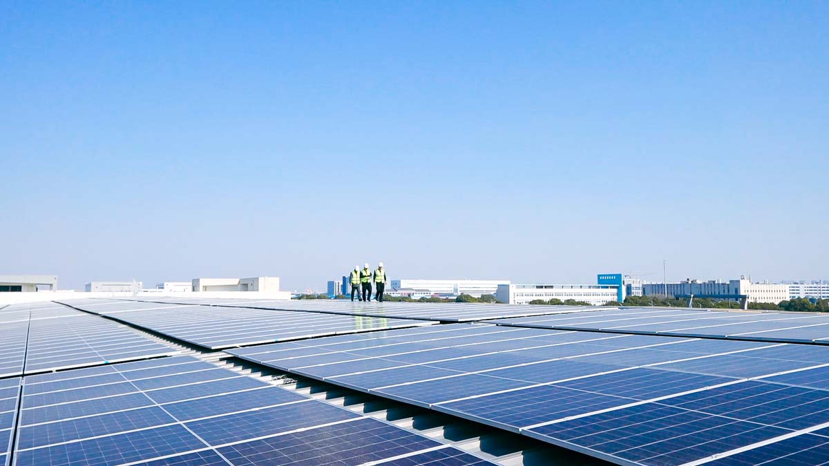 威尼斯线上平台