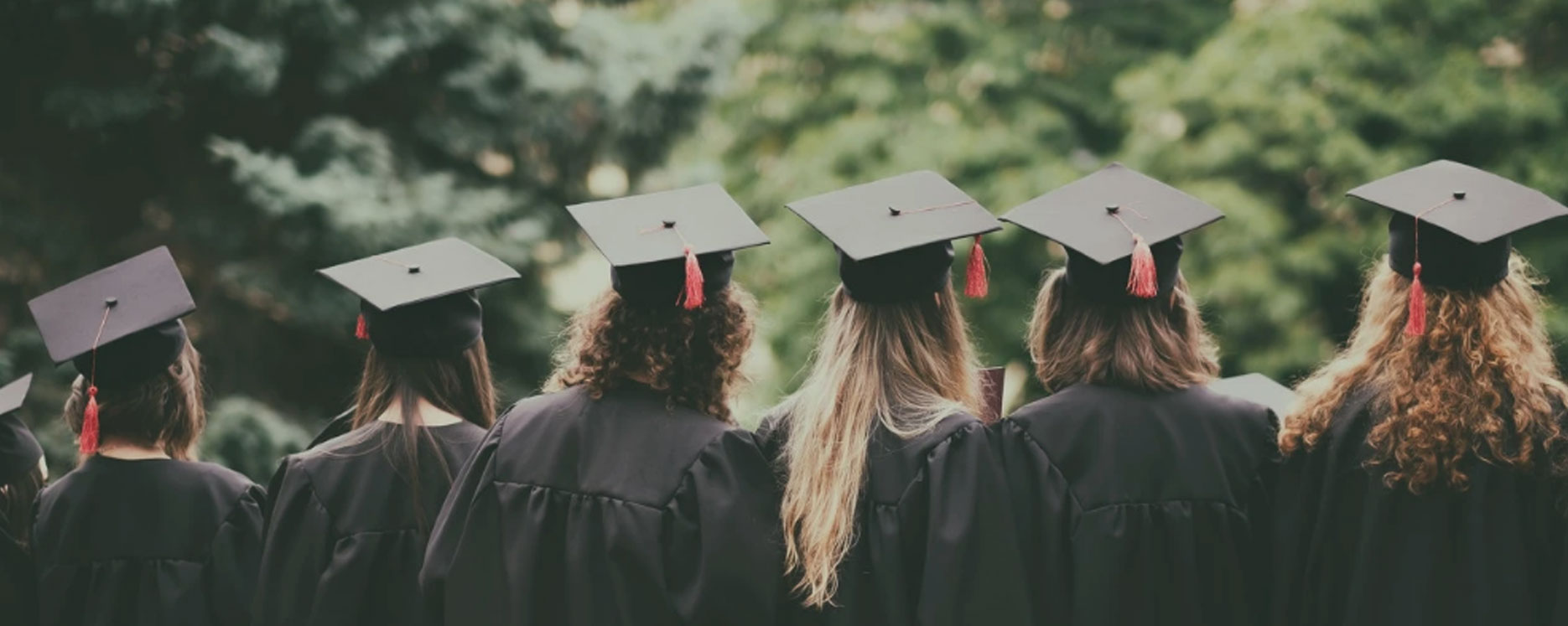 威尼斯线上平台