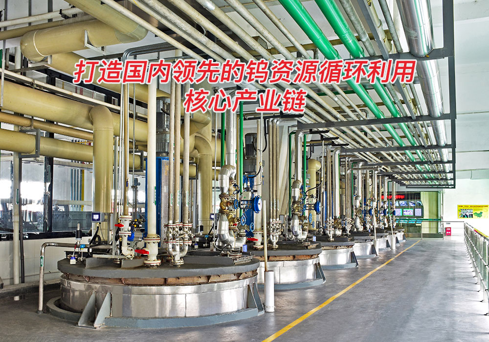 威尼斯线上平台